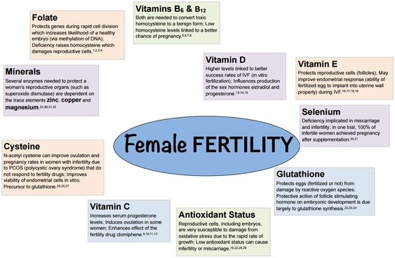 doctorneyro's tweet photo. Parece #definitivo.

Hablando de #fertilidad tanto #femenina como #masculina.

El #sistemaendocrino de la #vitaminaD juega un papael #importante para facilitar la #concepción.

Tenemos #datosfiables.

https://t.co/GScGlfqSHf https://t.co/DczFuDvvXD