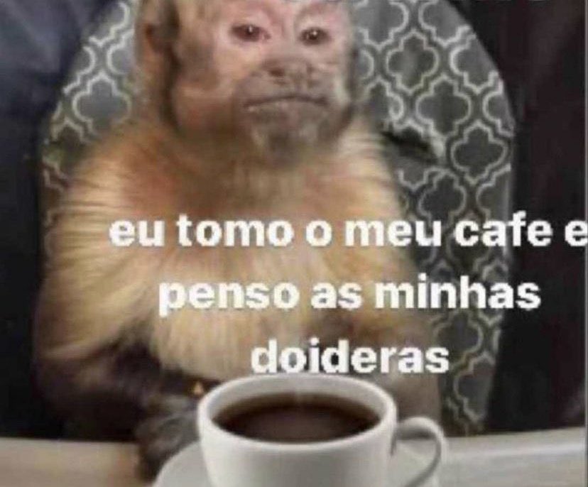 memes da vida (@memesdasuavida) on Twitter photo 
