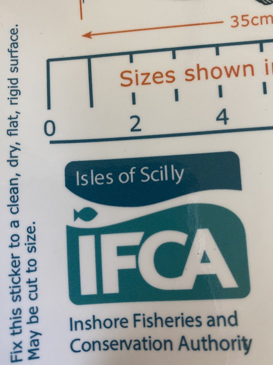 We have available a few of these stickers which can be placed on any flat surface on a boat to aid in measuring catches. 
Please let us know if you would like one! 🙋🏼‍♀️
#minimumsize #fisheriesmanagement #islesofscillyfishing #scillyfishing