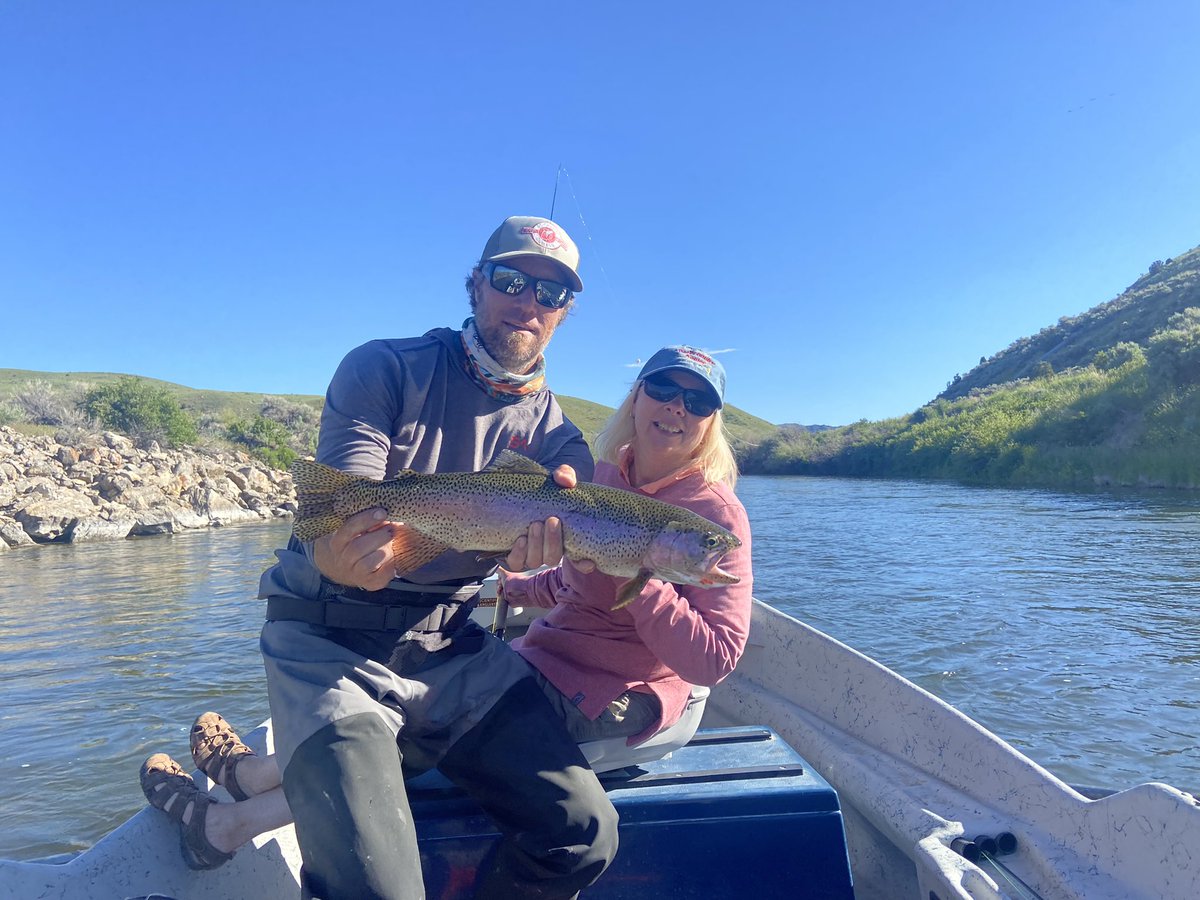 Bugslapping's tweet photo. Beaverhead pigs https://t.co/BuHOmlMiLE