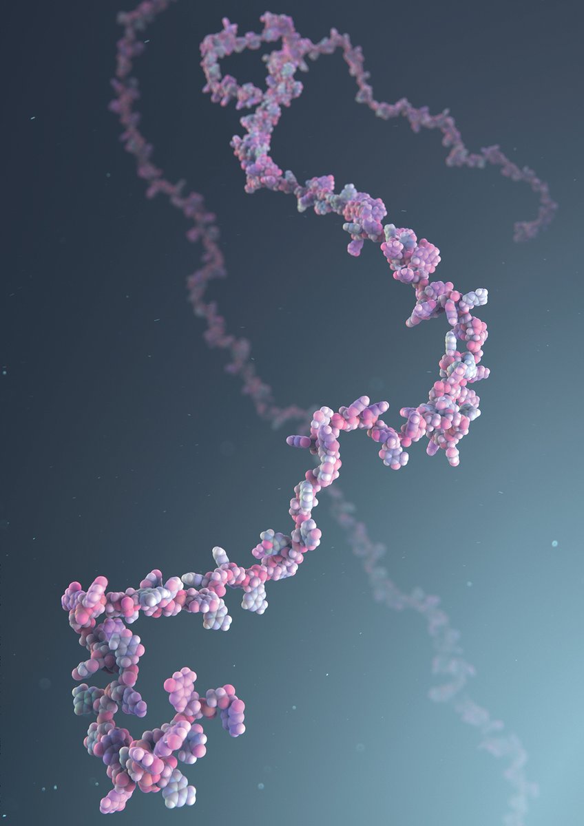 📢UNSW RNA Institute is seeking to hire 3 new talented Level C RNA researcher leaders in Science/Engineering/Medicine to establish their own groups. Closing 26 July 2022. Positions are for 4 years in the first instance with generous research support. Come and join our team! 1/2