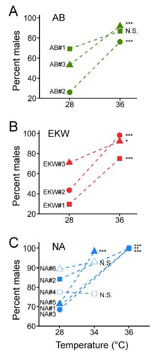 Group of Biology of Reproduction tweet media