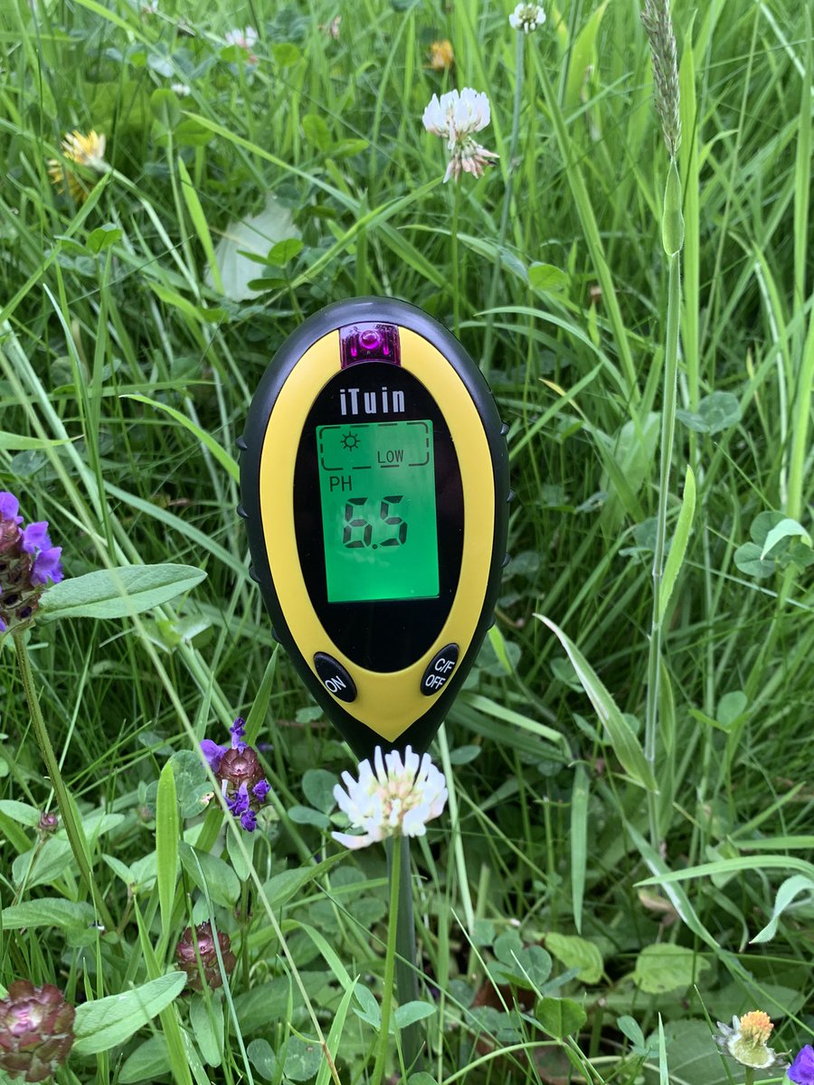 Orchardsofthew1's tweet image. Testing out a cheap and cheerful digital soil pH meter in my garden this morning before unleashing it on the field that will become my orchard. #digitalvsanalouge #soilsampling #baselinedata #handheldmeters
