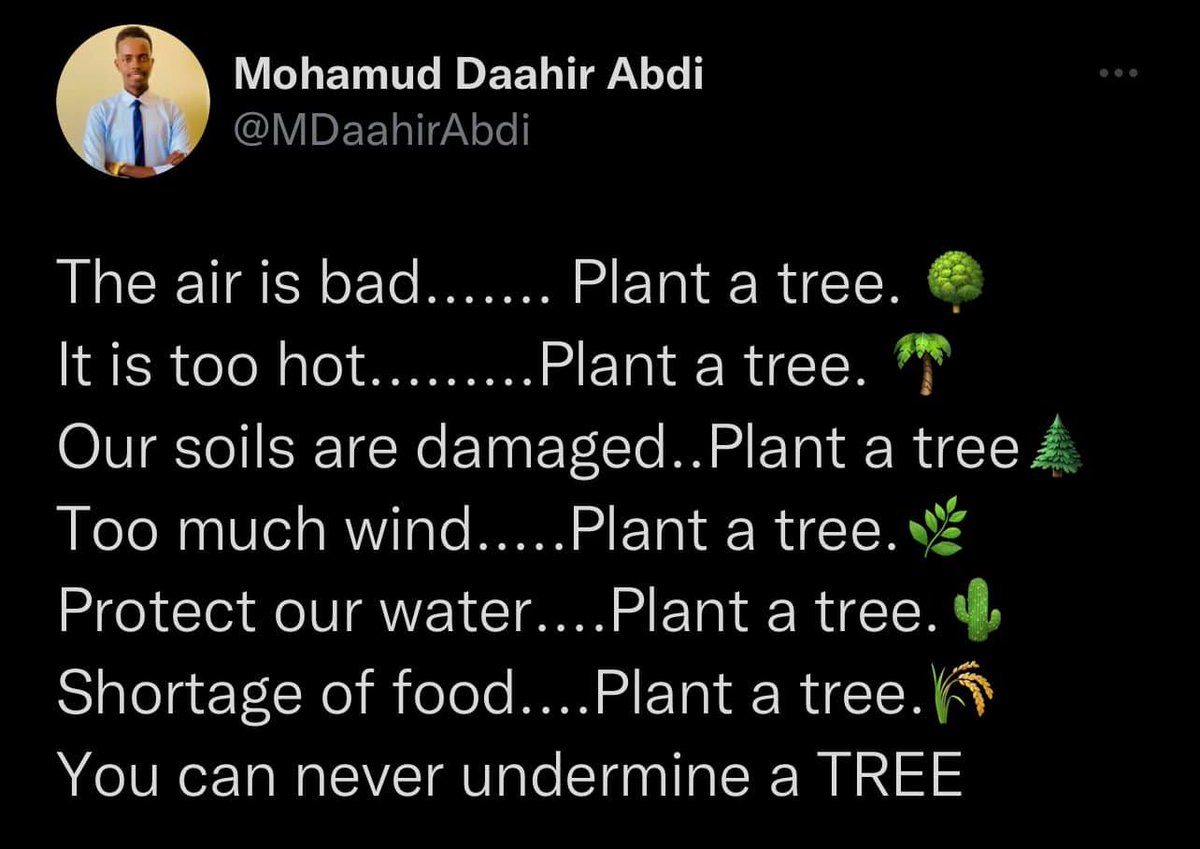 ElrondWizards's tweet photo. This is why we planted not 1, but 20.000 trees! 

Thank you for all your support!

#ElrondNFT #ElrondCommunity https://t.co/8B00SRITDP