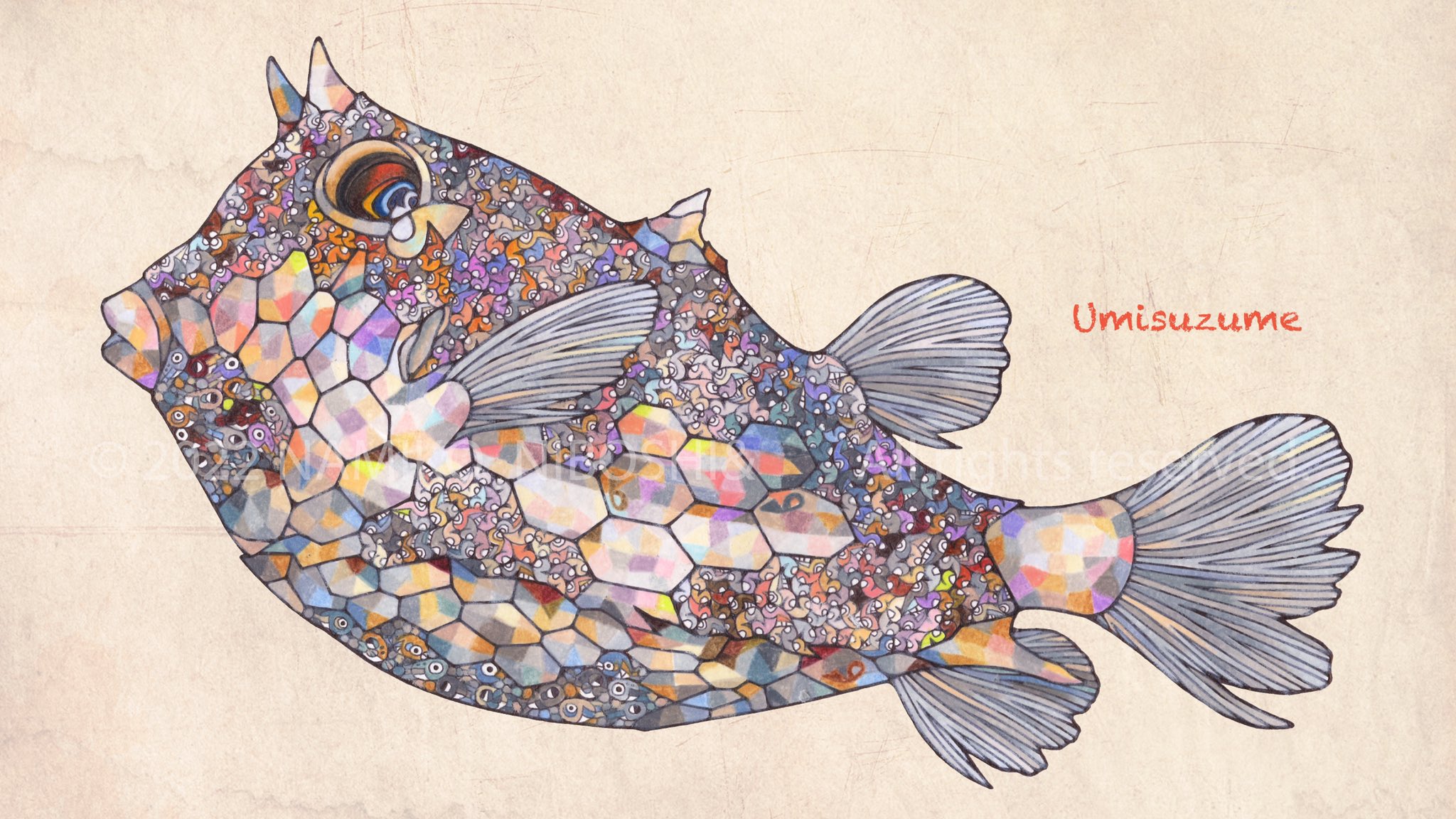 Namiko Niboshi イラスト図鑑 ウミスズメfile2 イラスト 魚 色鉛筆 T Co Hmc3ee6nrb Twitter