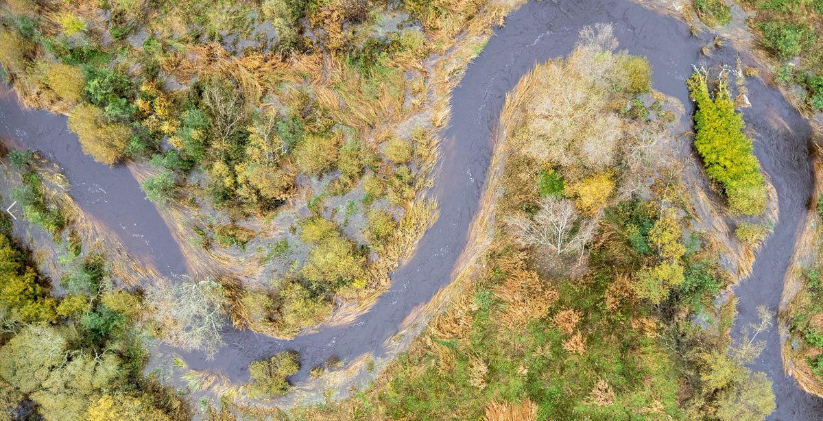 This is what many more miles of Scotland's watercourses could look like. This previously straightened channel on the Eddleston Water, has been rewiggled to restore its natural meanders, creating better conditions for salmon & reducing the potential for flooding.
📸 Colin Maclean