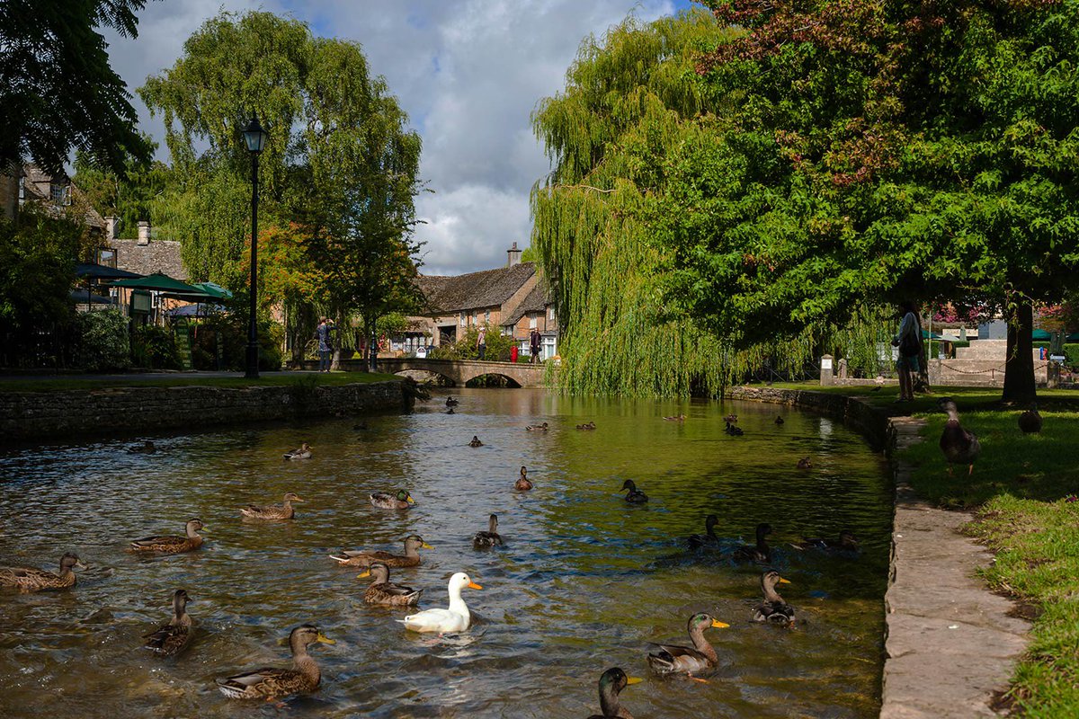 Janet Clark is one of a network of village halls advisors across the country. For our latest episode Janet explains the kind of support that's available to those running community buildings. Tune in thevillagehallspodcast.com #villagehall #podcast #rural #community