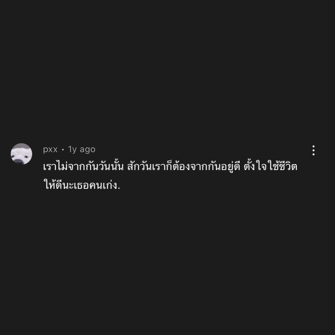 ・ᴥ・ tweet media