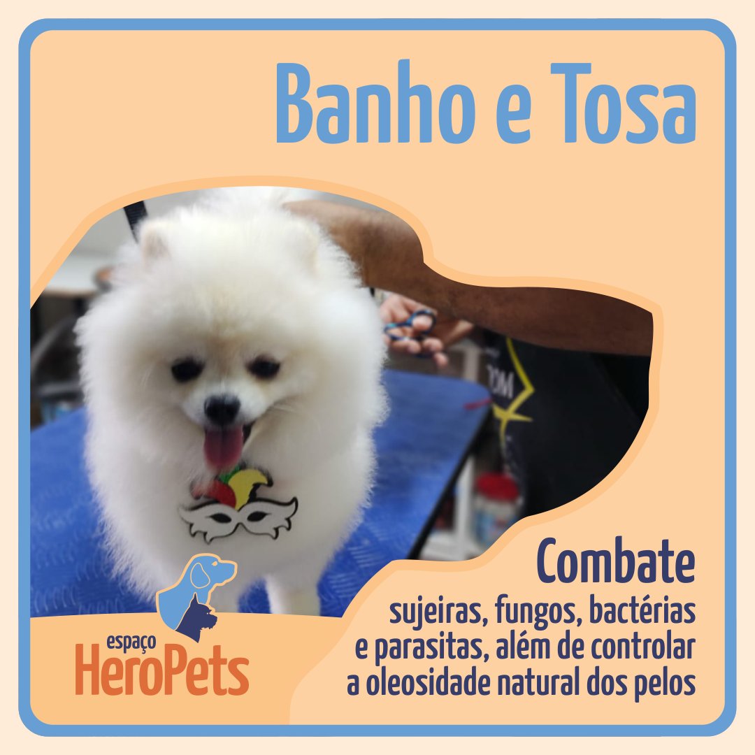 EspacoHeroPets's tweet image. Nosso banho com produtos da marca preferida, Hydra Pet Society!
Tendência é se destacar todos os dias. 💜 Quem usa, brilha! Diferencie-se.

📲 Entre em contato pelo nosso whatsapp 61-985079522 e agende uma visita!