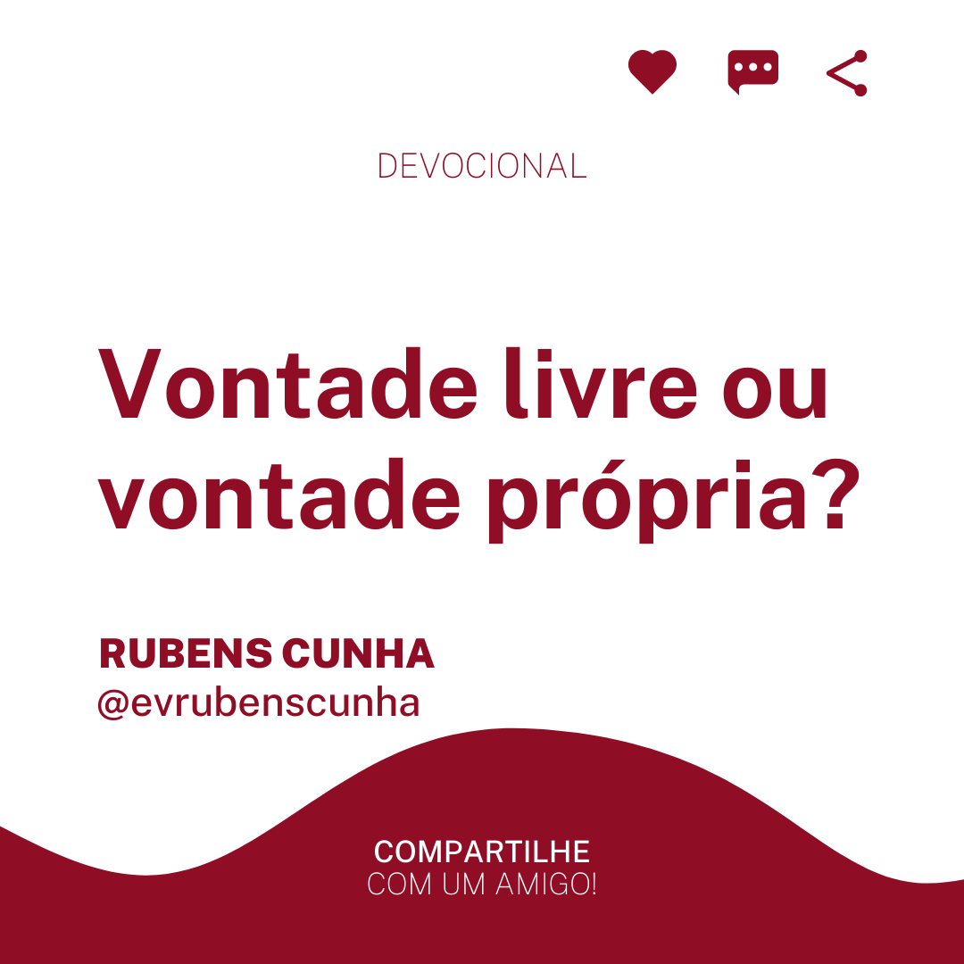 evrubenscunha's tweet photo. A verdadeira liberdade do homem consiste em escolher fazer a vontade de Deus. https://t.co/rUwu2ffPCK