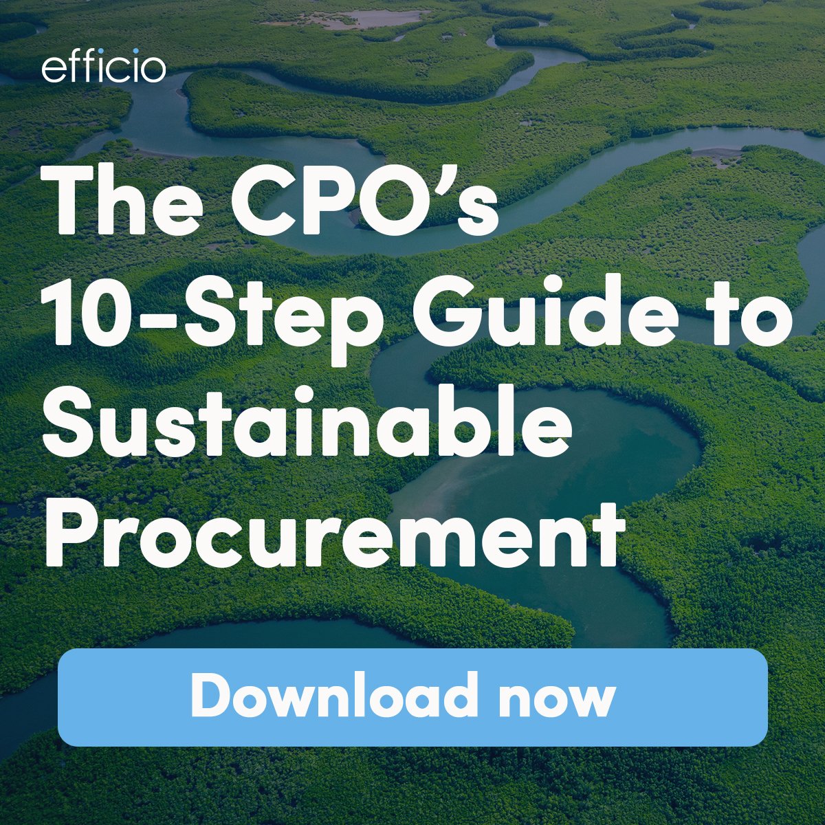 Efficio_Ltd's tweet photo. It’s here: The CPO’s 10-Step Guide to Sustainable Procurement.

Driving measurable sustainability improvements is a challenge. Our guide will support you through the process, whether you’re in early stages or implementing a strategy. 

Download the guide: https://t.co/2sh54HfNqG https://t.co/9nI58ODzLA