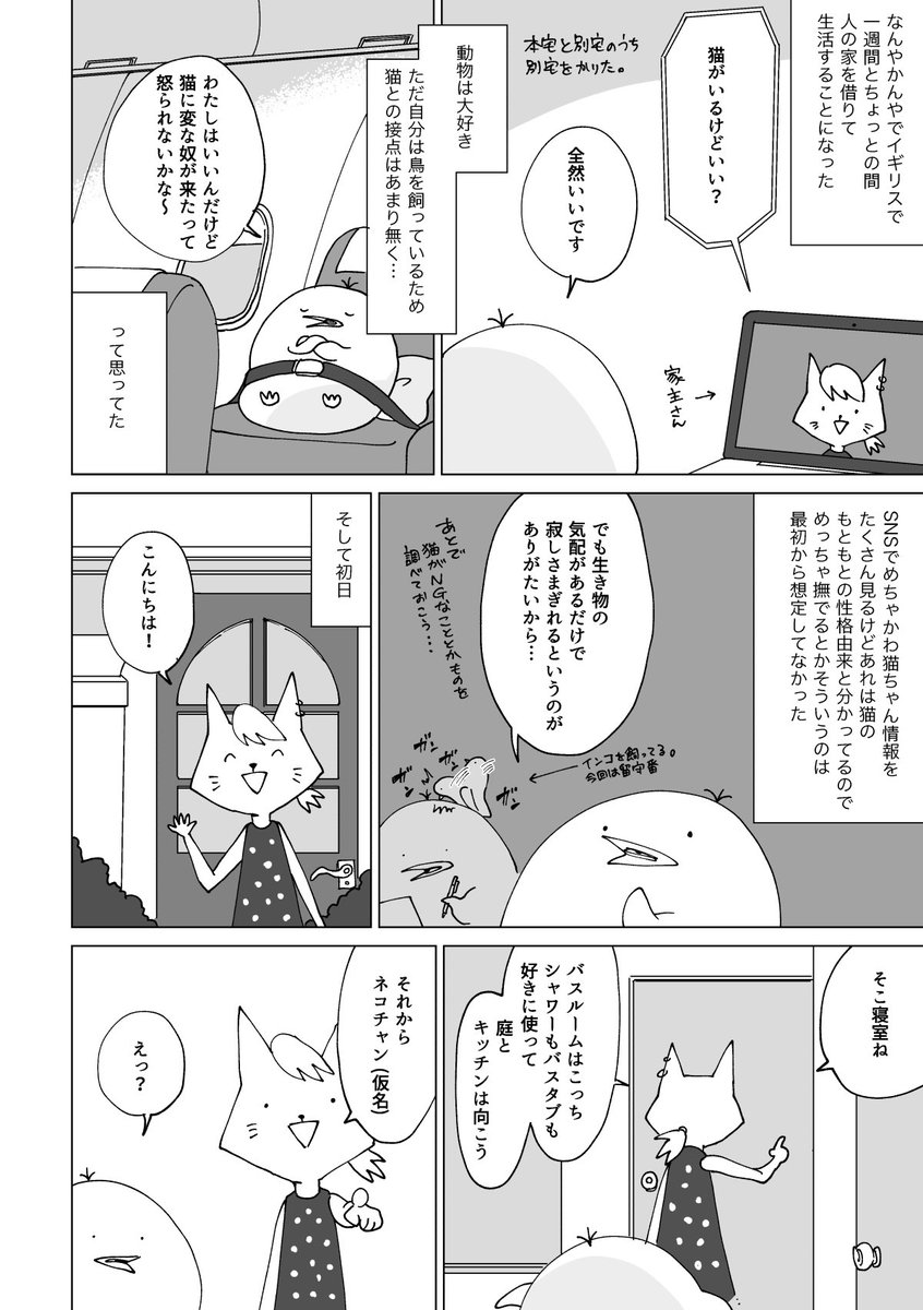 イギリスで猫のいる家で生活した話を描きました 1/2
続きはツリー↓ 