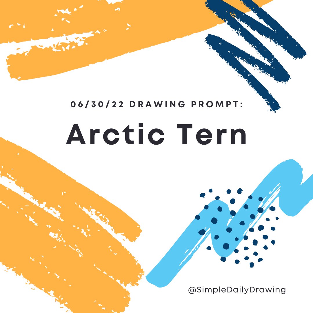The 6/30/33 #drawingprompt is #arctictern! Tag us in your post @SimpleDailyDra2