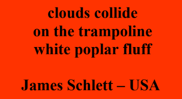 I got this #haiku published in the June 2022 issue of Stardust Haiku bit.ly/3xRXeCY

clouds collide
on the trampoline
white poplar fluff

#poetry #fatherhood #childhood