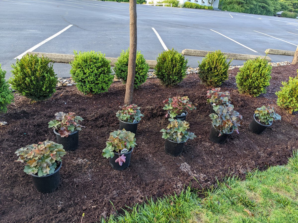 TPCCHort's tweet photo. Phase 2 of the parking lot redesign gets started today! I have 110 perennials going in over the next day or two. https://t.co/H5BXI1Xuny