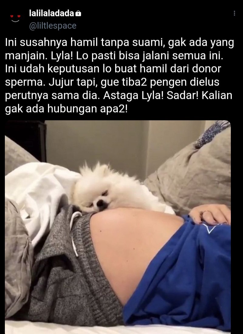 jehvairoch's tweet photo. Hello Future (NOMIN AU BXB) ⚠️🔞

Keinginan Lyla untuk hamil dan punya anak tanpa memiliki suami, akhirnya terwujud berkat Jergion. Namun, apakah dia tidak menyesali keputusannya tersebut? https://t.co/oa7Atp027v