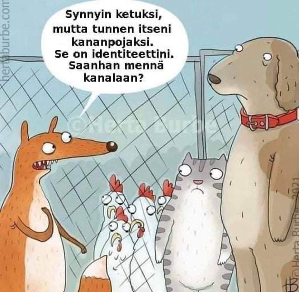 Miia Autero (@auteromiia) on Twitter photo 