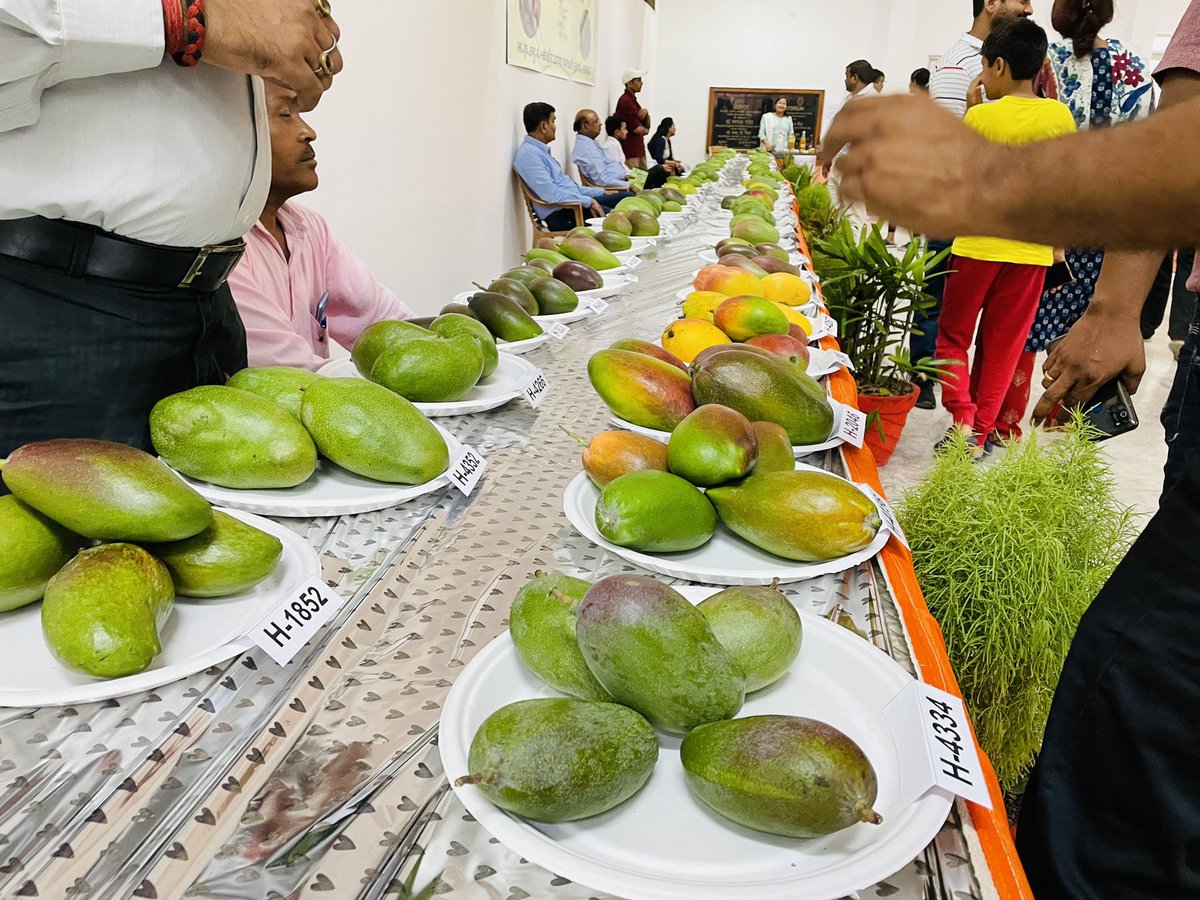 Hitendrayadav23's tweet image. Thanks to @AmityUni An educational trip was organised to @ICAR_CISH  Lucknow. It was joyful and highly educational  Mango Mela-2022.
#mangomela