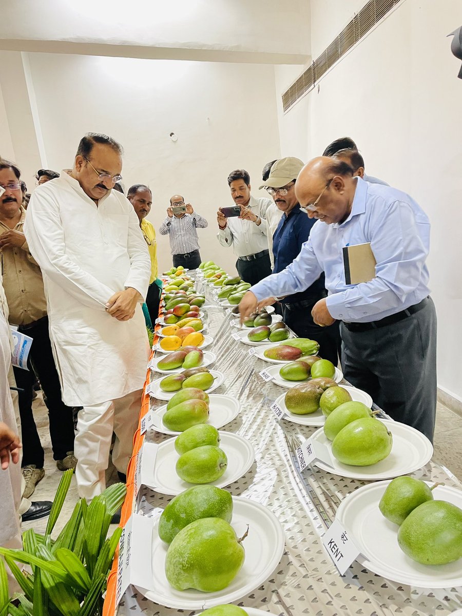 Hitendrayadav23's tweet image. Thanks to @AmityUni An educational trip was organised to @ICAR_CISH  Lucknow. It was joyful and highly educational  Mango Mela-2022.
#mangomela