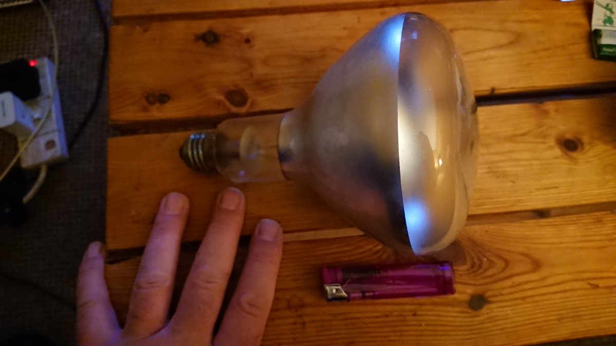 Matt 🐻 tweet media