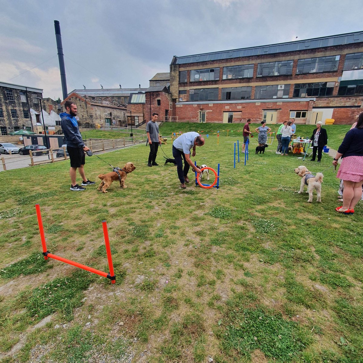sunnybankmills's tweet photo. Congrats to little Ronnie from @ProductionCo the Best Turned Out winner from our #BringYourDogToWorkDay 'Woofts' event last Friday!
Thanks to everyone that came along to help raise money for the Dogs Trust & the Children's Air Ambulance.
#MillDogs #BringYourDogToWorkDay https://t.co/ktWWJm88pf