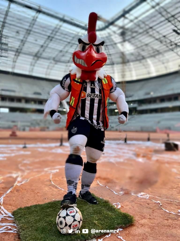 ArenaMRV's tweet photo. Habemus GRAMADO! 

A Massa quer saber e a Arena MRV vai te contar: o gramado da nossa casa foi definido e SERÁ NATURAL. Logo mais teremos um vídeo contando como foi a escolha e todo o processo até que o tapete seja implementado. 

Confira mais em: https://t.co/1bhyuXqIDD https://t.co/wszdIkUCdH
