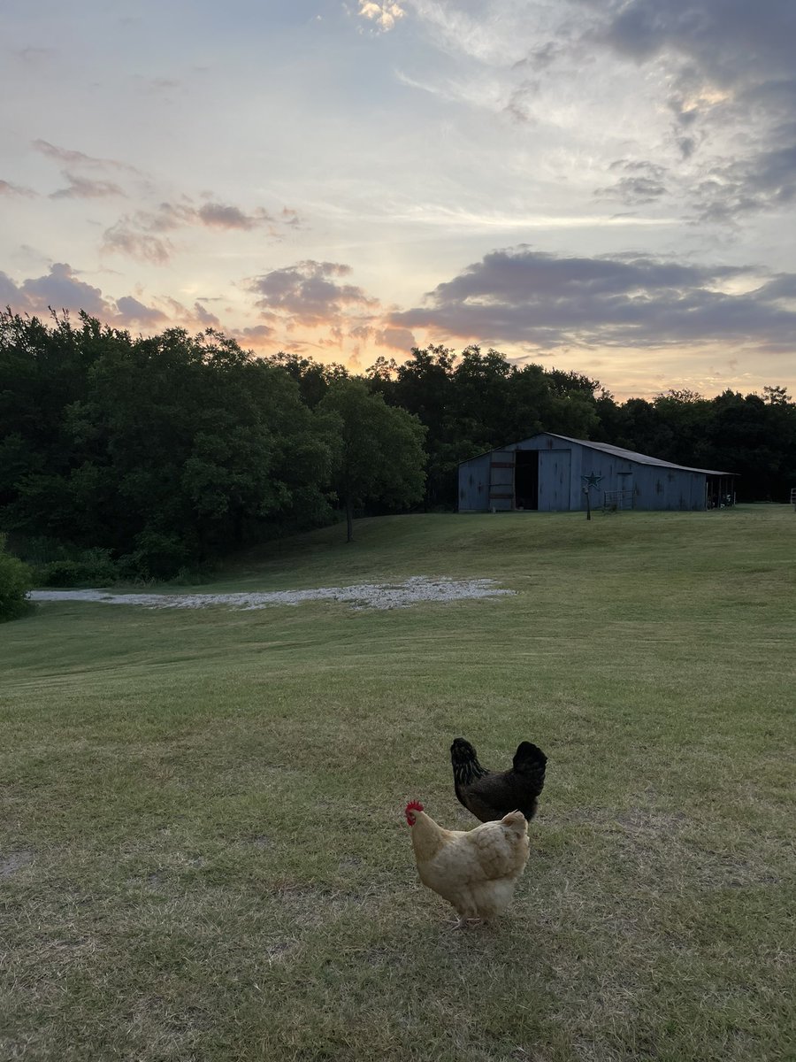 Gonna be a great day!