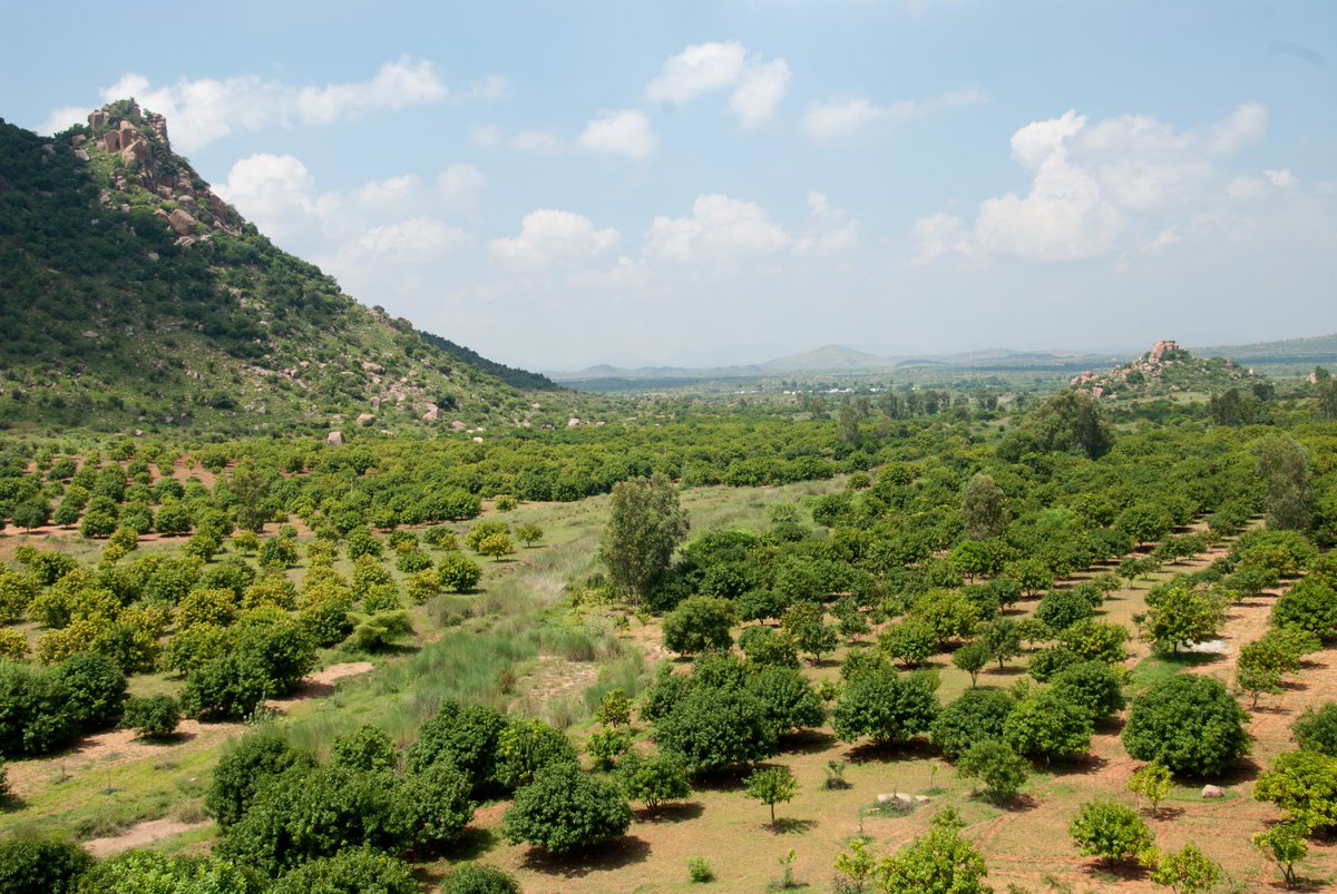Rural Development Trust (RDT) tweet media