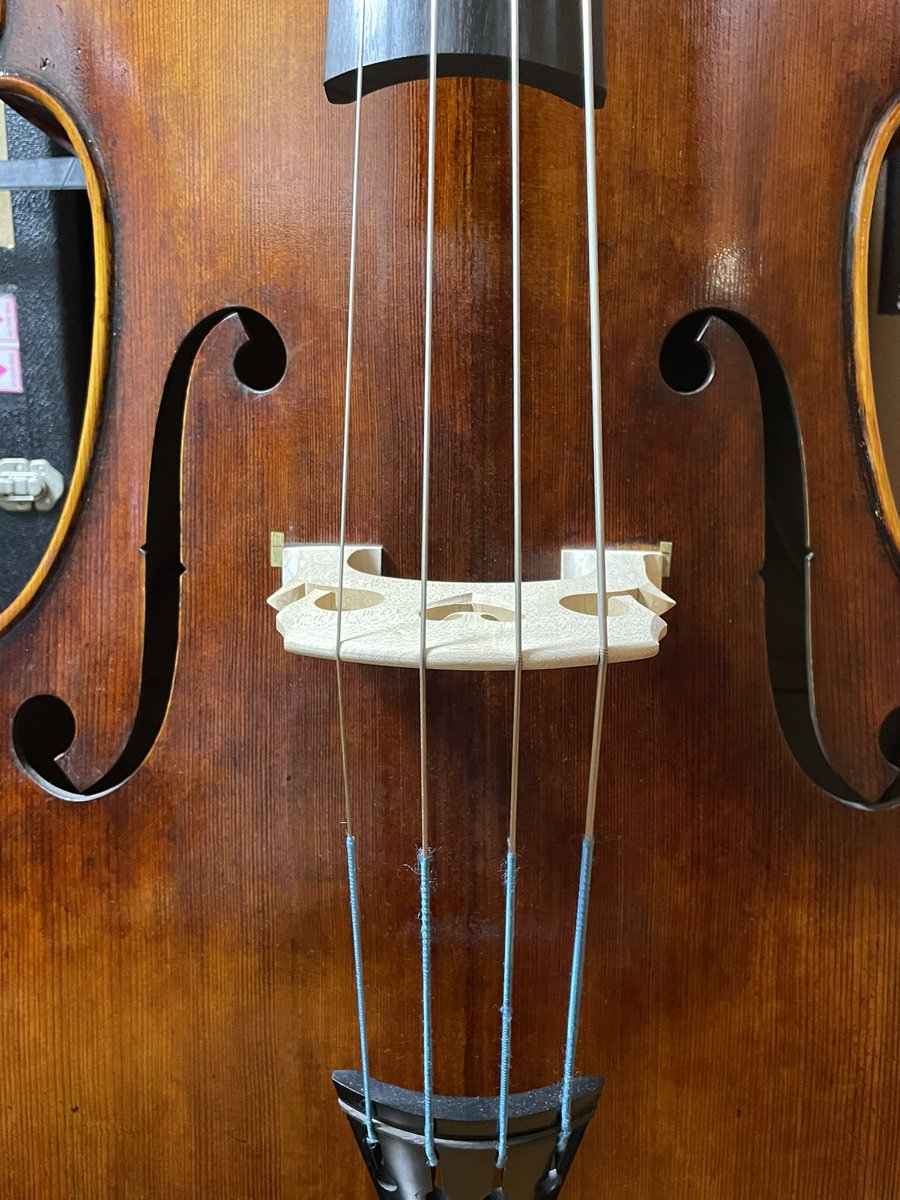 goro_murata's tweet photo. 本日も良い感じでしたー♪
ピカチュウも大量でした◎
#gabrielepralea #contrabass #contrabbasso #doublebass #コントラバス #ウッドベース #LAUTENAUDIO #FC357 #Clarion https://t.co/qYGu57XVXp