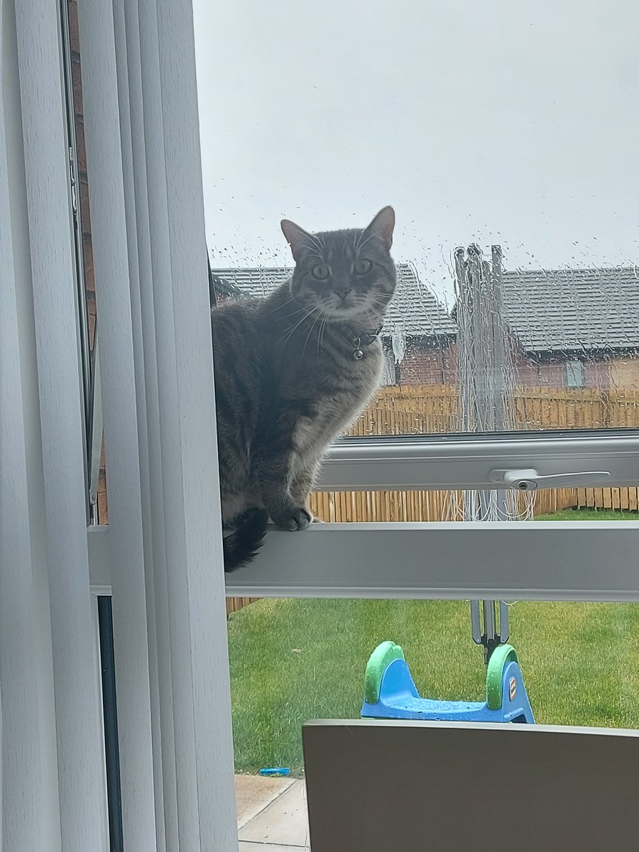 bluemure's tweet photo. #fun #tuesdayvibe

Why is it wet https://t.co/9AFBVLc5C8