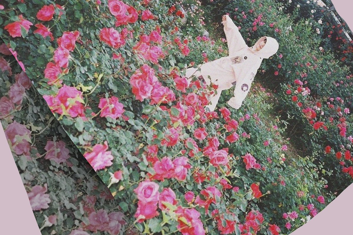 💐28번째 #태용 생일을 축하하는 기념으로
#RT추첨 세 분께 선물을 보내드립니다💐 

⟡ 1/2 연력 (7월~12월) 2명
⟡ 쉬폰 패브릭 포스터 1명 

발표는 다음주 중으로 할게요(ᐡo̴̶̷̤  ̫ o̴̶̷̤ᐡ)

#태용이가_여는_칠월의_시작 #HAPPYTAEYONGDAY #TAEYONG