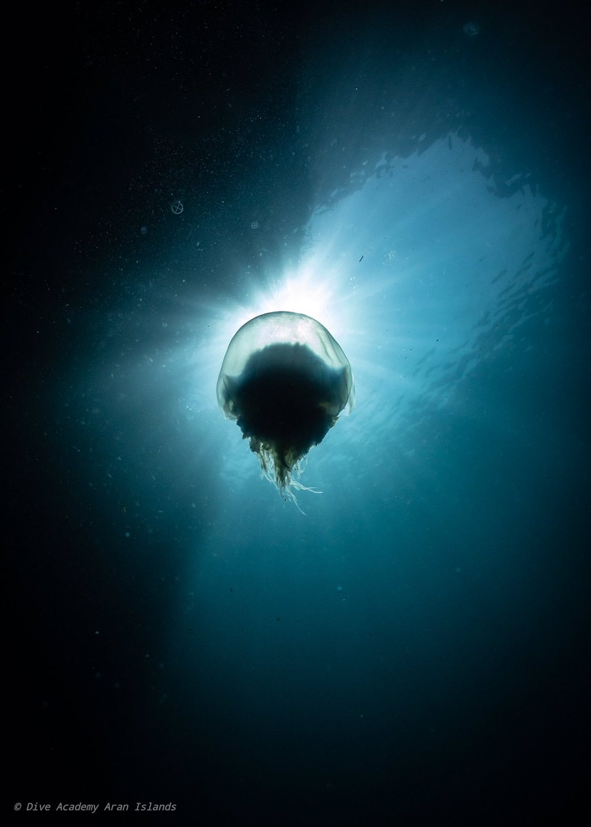 Miserable weather? Yes. 
Still beautiful? Yes!
Inis Mór, Aran Islands.

#KeepDiscovering #Ireland