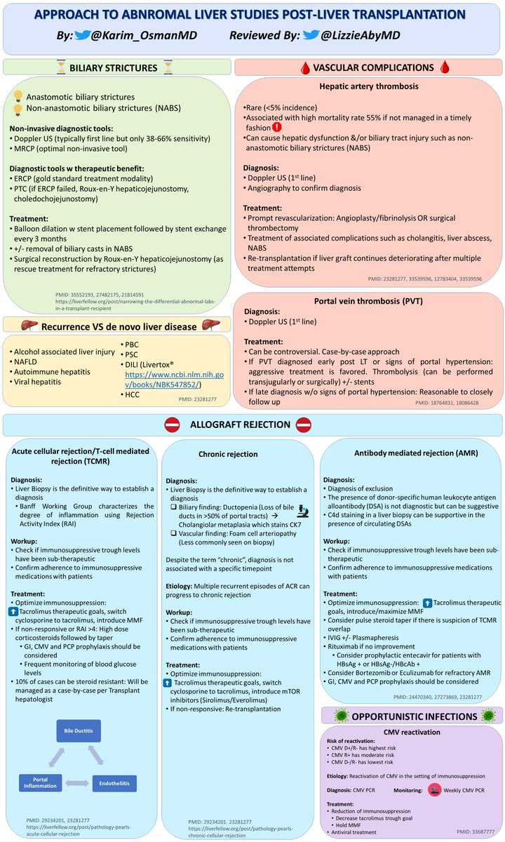 Evaluating abnormal liver studies (AST/ALT, ALP, TBil) post-transplant is always a challenge.

Below are the most common differentials to consider in one graphic

Huge🙏to <a href="/LizzieAbyMD/">Lizzie Aby, MD</a> for reviewing 
#LiverTwitter #GItwitter #MedTwitter #MedEd