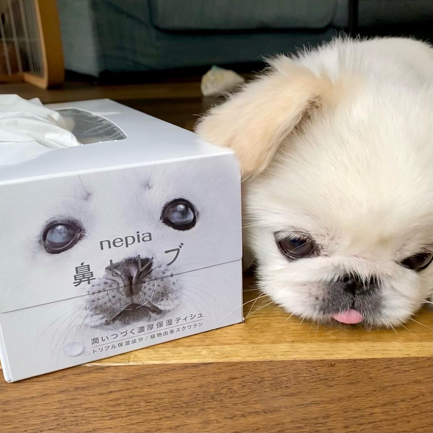 ⭐️ ハナセレブです HRH20 バービー ファッショニスタ マーブルドレス | 玩具卸売