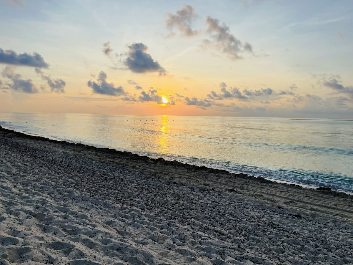 Good morning from #Cancun ! 🏖☀️