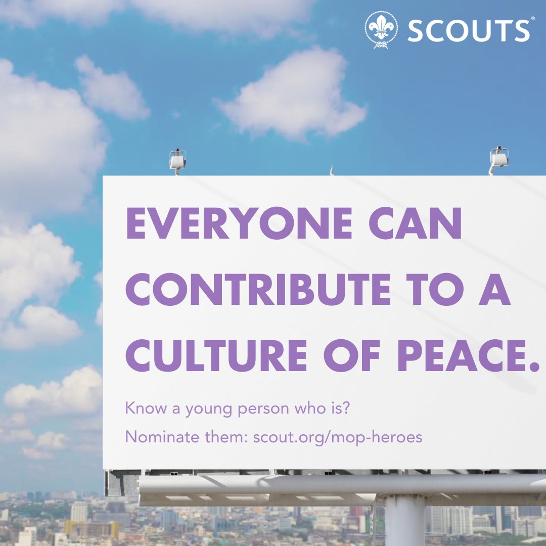 World Scouting tweet media