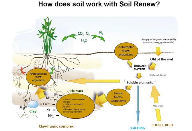 Ishanam2's tweet photo. The processes by which humus forms are not fully understood, but there is agreement that 4 stages of development occur in the transformation of soil biomass to humus: 1)decomposition of biomass into simple organic compound  #SaveSoil  @cpsavesoil @SadhguruJV @UNCCD https://t.co/qdX6uhhnkF
