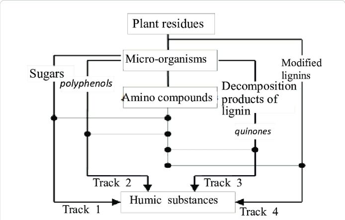 Ishanam2's tweet photo. The processes by which humus forms are not fully understood, but there is agreement that 4 stages of development occur in the transformation of soil biomass to humus: 1)decomposition of biomass into simple organic compound  #SaveSoil  @cpsavesoil @SadhguruJV @UNCCD https://t.co/qdX6uhhnkF
