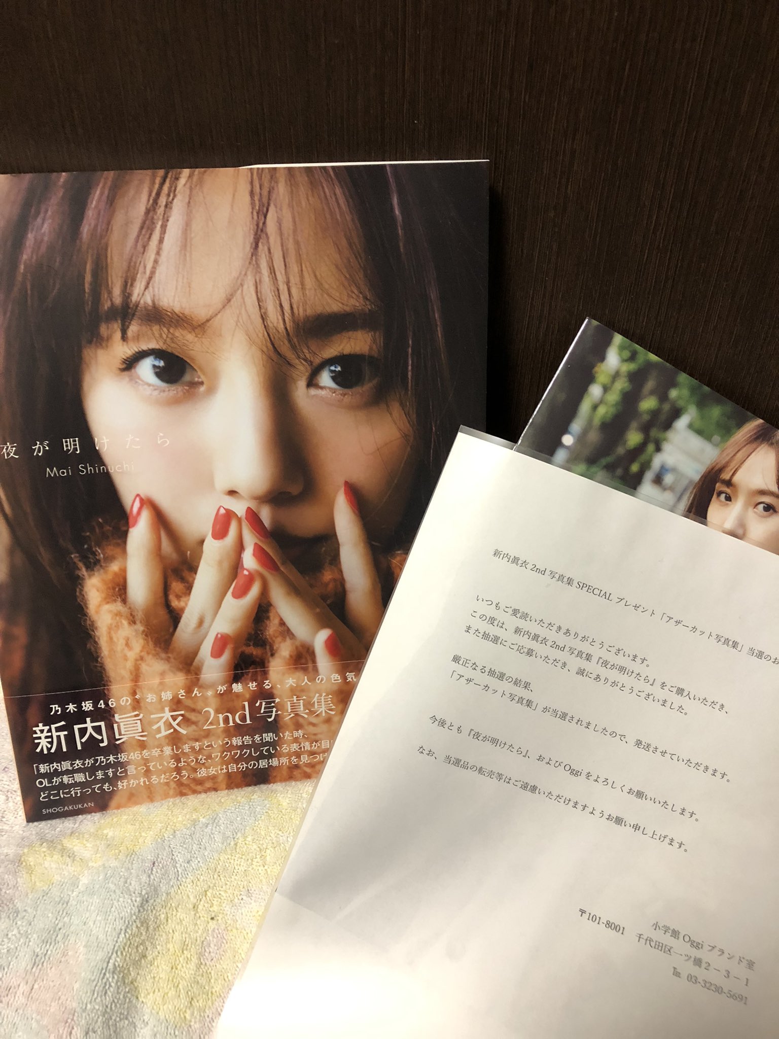 【良好品】 新内眞衣 アザーカット写真集 アイドル