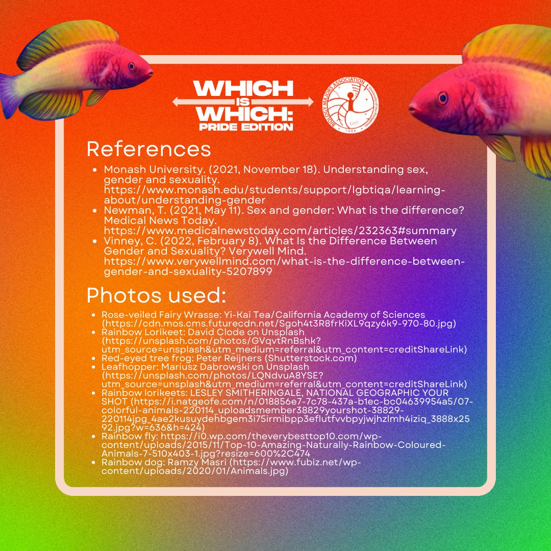 UPBiomas's tweet photo. Every color, shade, and hue on this planet breathes life and beauty; we study them but see them for who they are, and we fight to let them love who they want to!๐๐ณ๏ธโ๐
Celebrate every color of the rainbow every day; Happy Pride!๐๐โค๏ธ๐งก๐๐๐๐
#BIOMAN4PRIDE โ
#LIVEyourCOLOR ๐ณ๏ธโ๐ https://t.co/UFkcebvuFo