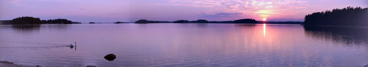 petterin1's tweet photo. #kesäilta #sommarkväll #pellinge #pellinki #sundö https://t.co/vPIyYfzdIz