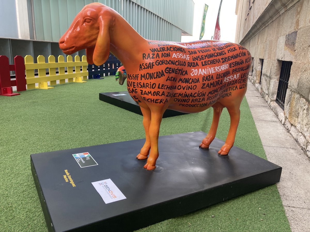 ASSAF.ESPAÑA tweet media