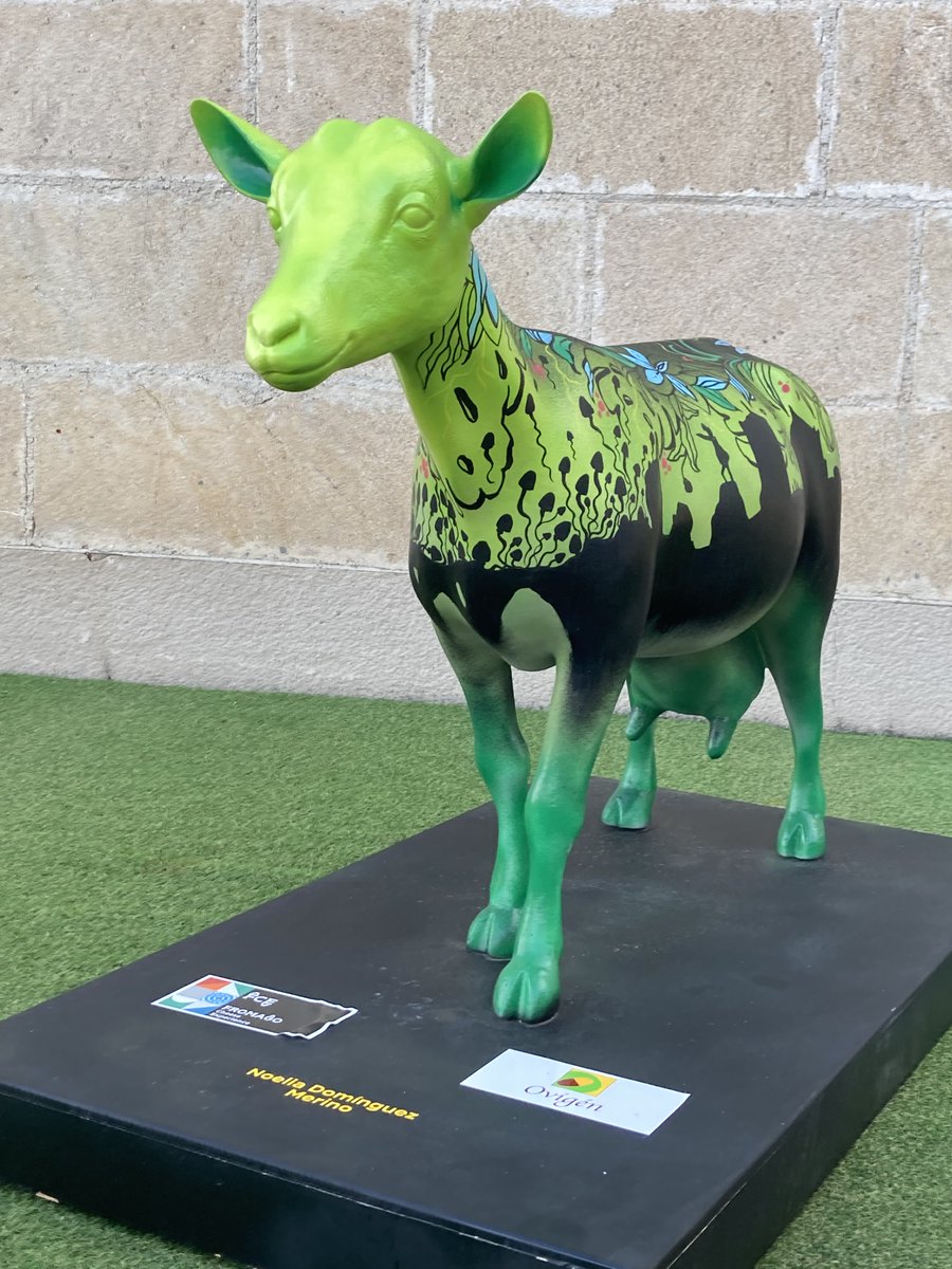 ASSAF.ESPAÑA tweet media