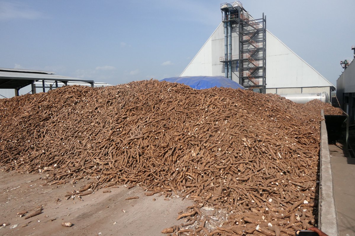 IITA GoSeed tweet media