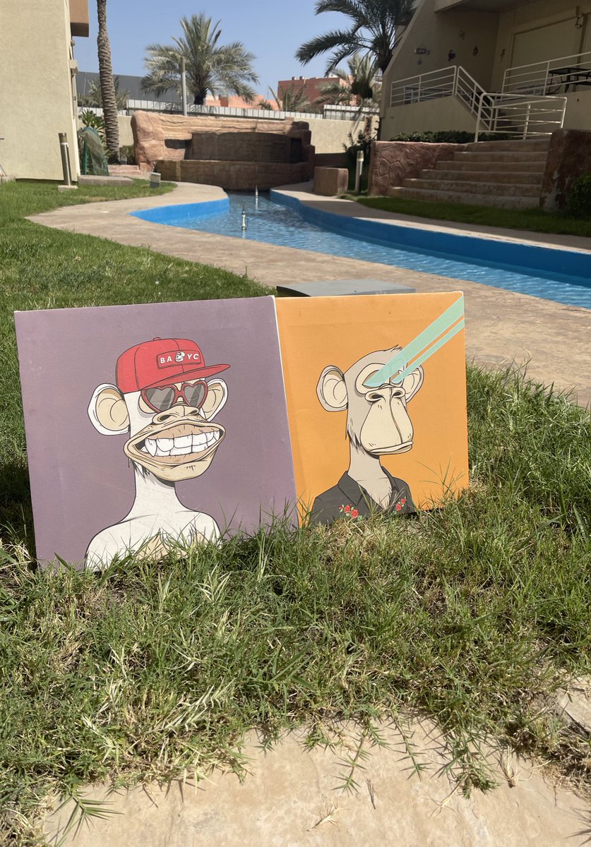 EnglishBulldog.com tweet media