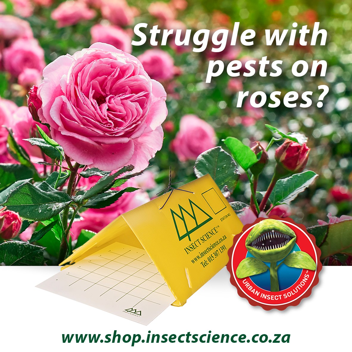 Insect Science tweet media