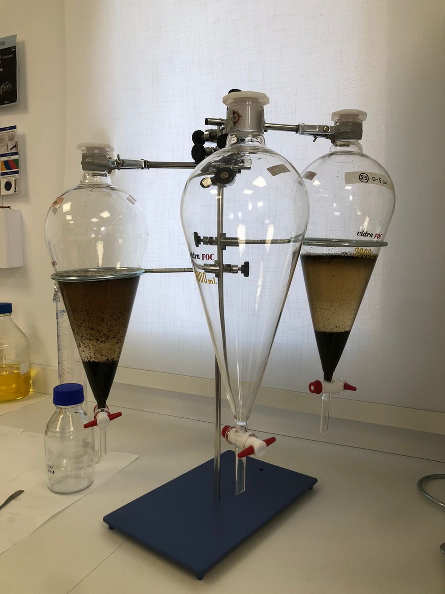 martin_dahl_'s tweet photo. New project starting up with @oserranogras and @delficornejo06 to assess temporal accumulation of microplastics in Australian seagrass soils. @GAMECSIC @ceabcsic https://t.co/4yeMQGLThh