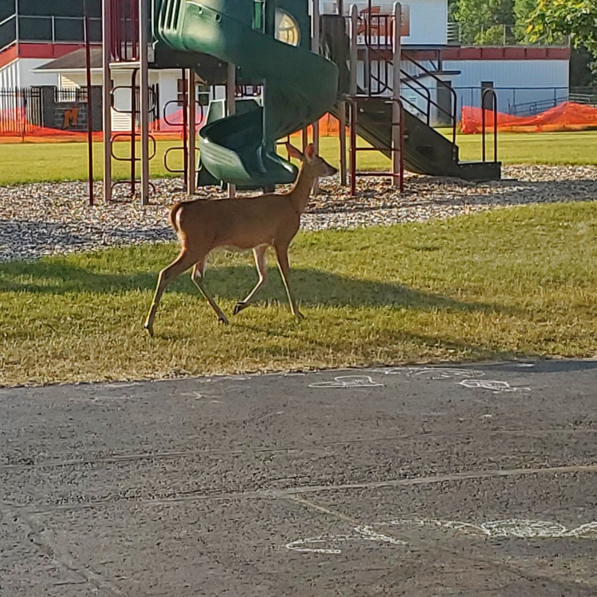 KWeidner4's tweet photo. New Student???? https://t.co/tdVXtchPqk