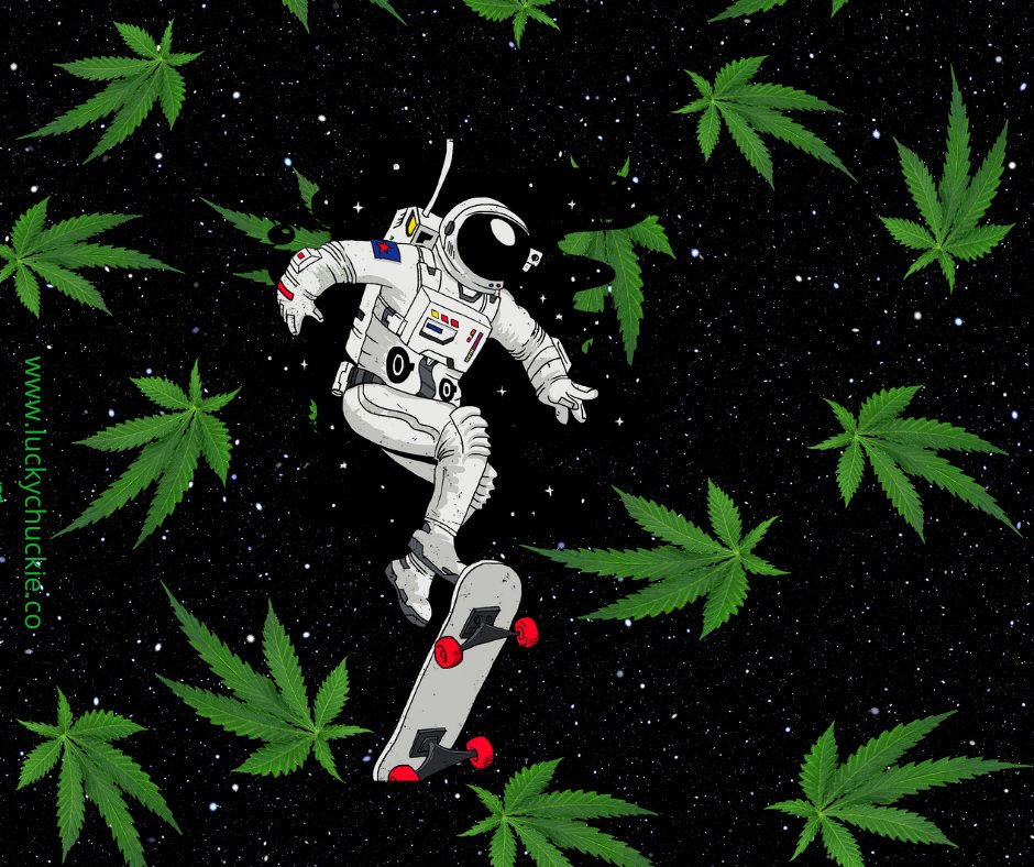 luckychuckiedc's tweet photo. Weed life to the fullest. ππ₯Ή
#washingtondc #visitingdc #weedsmoke #hemp #smokeweed #dctours #dc #luckychuckie #life #weed #satisfaction https://t.co/R1KNBaxJ7b