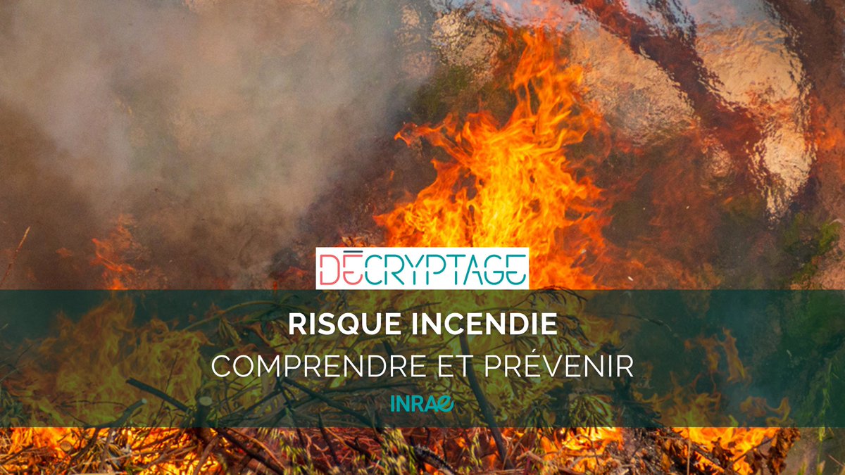 INRAE_France's tweet photo. #RP_INRAE 🎉N°1 de notre nouveau format #Décryptage pour les médias! Un condensé d’informations scientifiques sur le risque #incendie.
👉Chiffres clés, grandes tendances des #feux🔥de forêt🌳en France, en Europe et dans le monde.
➡️https://t.co/gOMqGNcRua https://t.co/mwuP2rQWD2